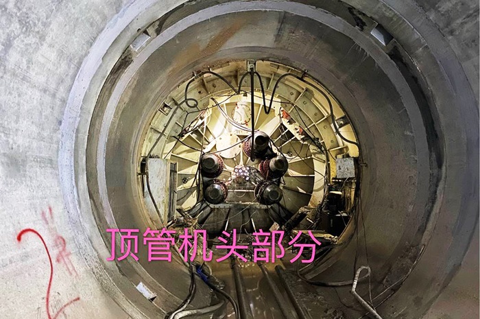 1700202317342659.jpg 图片2.jpg